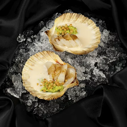 Scallop sashimi with tiger milk sauce